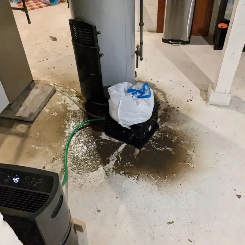 Sewage Backup Cleanup Service in Day Valley, CA